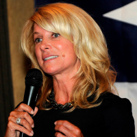 Wendy Davis Texas Flag