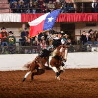 Fort Worth Stock Show