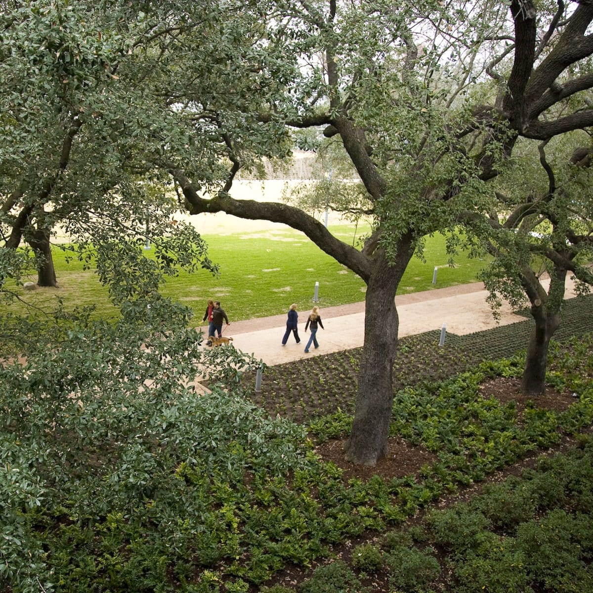 Places-Unique-Discovery Green walkers