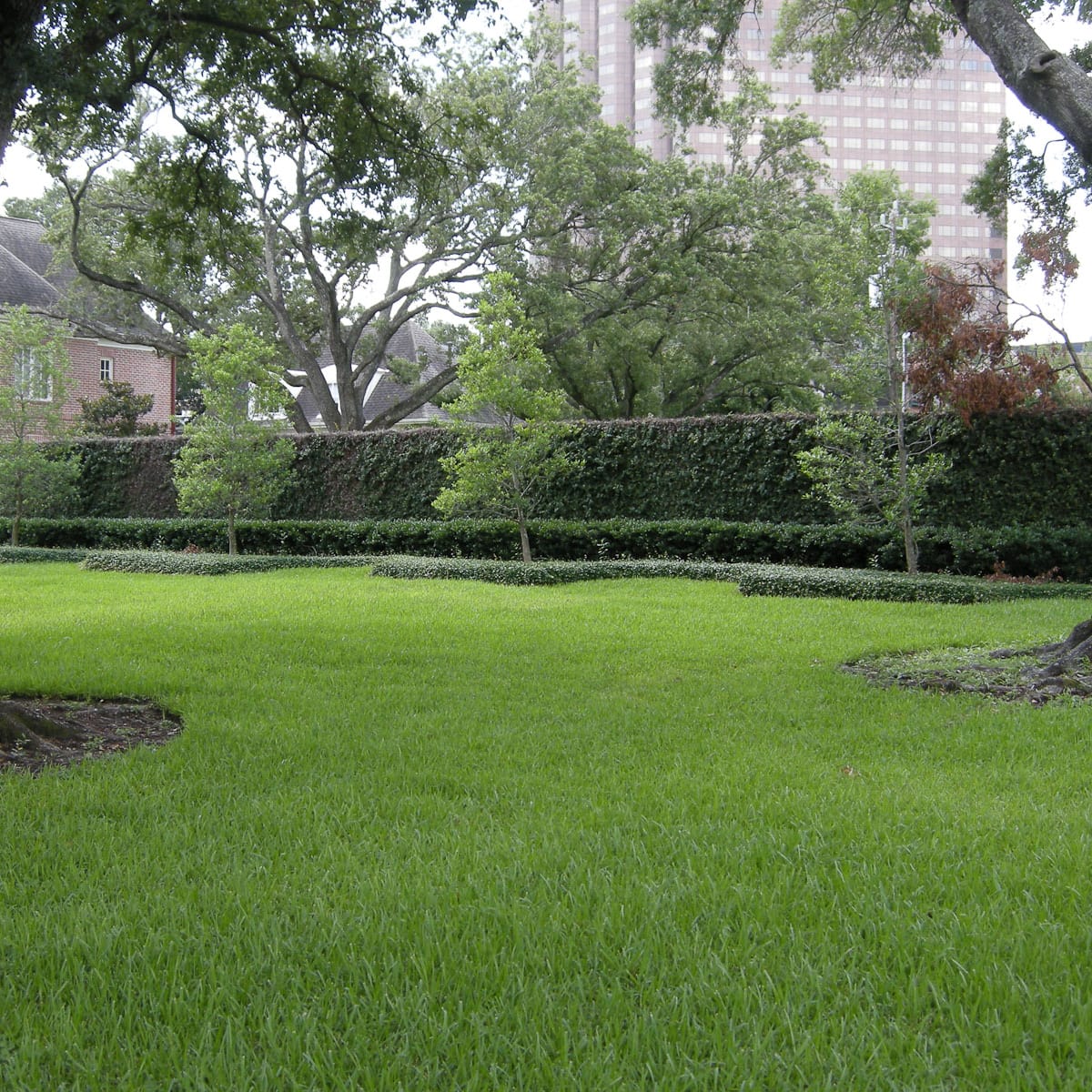 After move to 10.5 million River Oaks mansion, Joel Osteen sells land