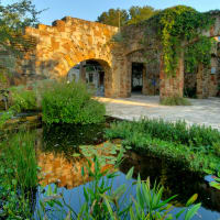 Lady Bird Johnson Wildflower Center