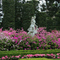 River Oaks Garden Club presents 82nd Annual Azalea Trail