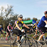 The Center Foundation and Pursuit present 4th Annual SpringFest