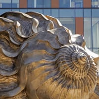 Dell Medical School Landmarks art sculpture