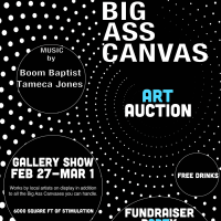 Austin Photo Set: Events_Big Ass Canvas_Silicon_Mar 2013