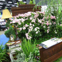 flowers at the Spring Austin Home and Garden Show