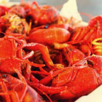 Pearland Crawfish Festival 2014