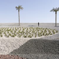FotoFest 2014 Biennial exhibition: <i>View From Inside: Contemporary Arab Photography, Video and Mixed Media Art</i>