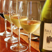 Austin Photo Set: Matt_fall creek vineyard_may 2012_chardonney