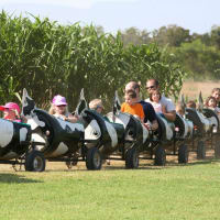 Barton Hill Farms presents The Fall Festival & Corn Maze