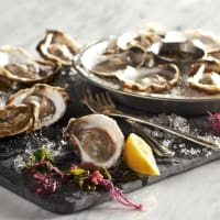 The Oceanaire Seafood Room presents Oyster Bash