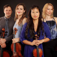 Axiom Quartet