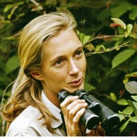 <i>Jane</i>