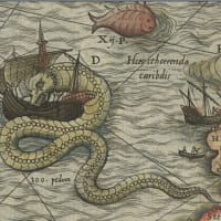 <i>Sea Monsters on Medieval and Renaissance Maps</i>
