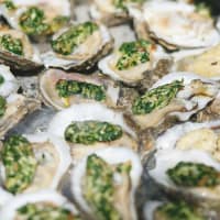 Austin Oyster Festival