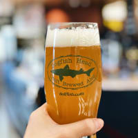 Dogfish Head pint glass