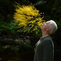 Leaning into The Wind: Andy Goldsworthy