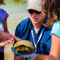 Viridian Bio Blitz and Campout