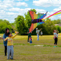 International District presents Kite Festival and Farmers Market