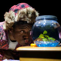 UT New Theatre presents Loverboy