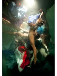 Laura Rathe Fine Art presents Christy Lee Rogers
