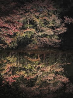 Talley Dunn Gallery presents This Is Now