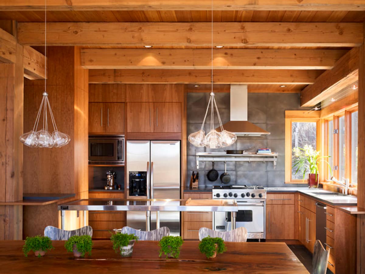 Houzz modern cabin design