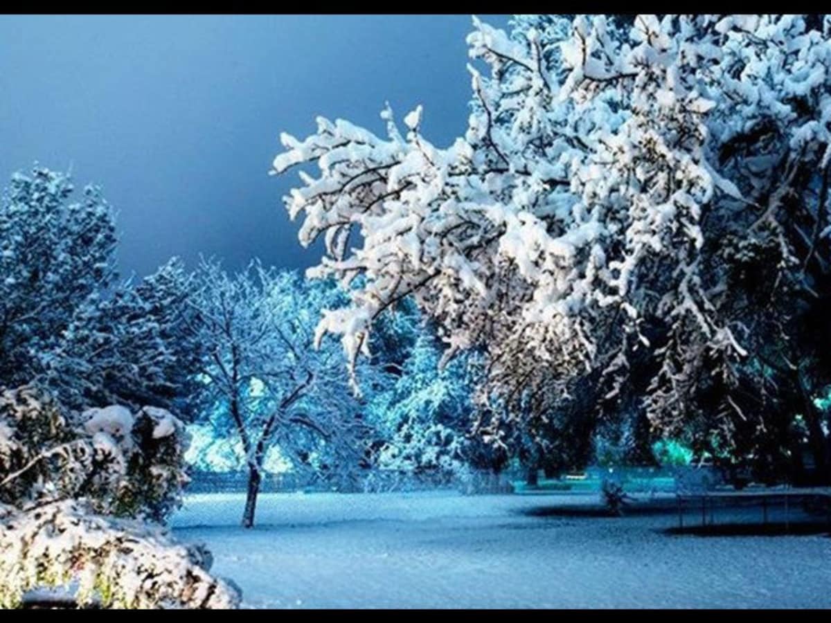 See surprise snowfall transform Austin into magical winter wonderland