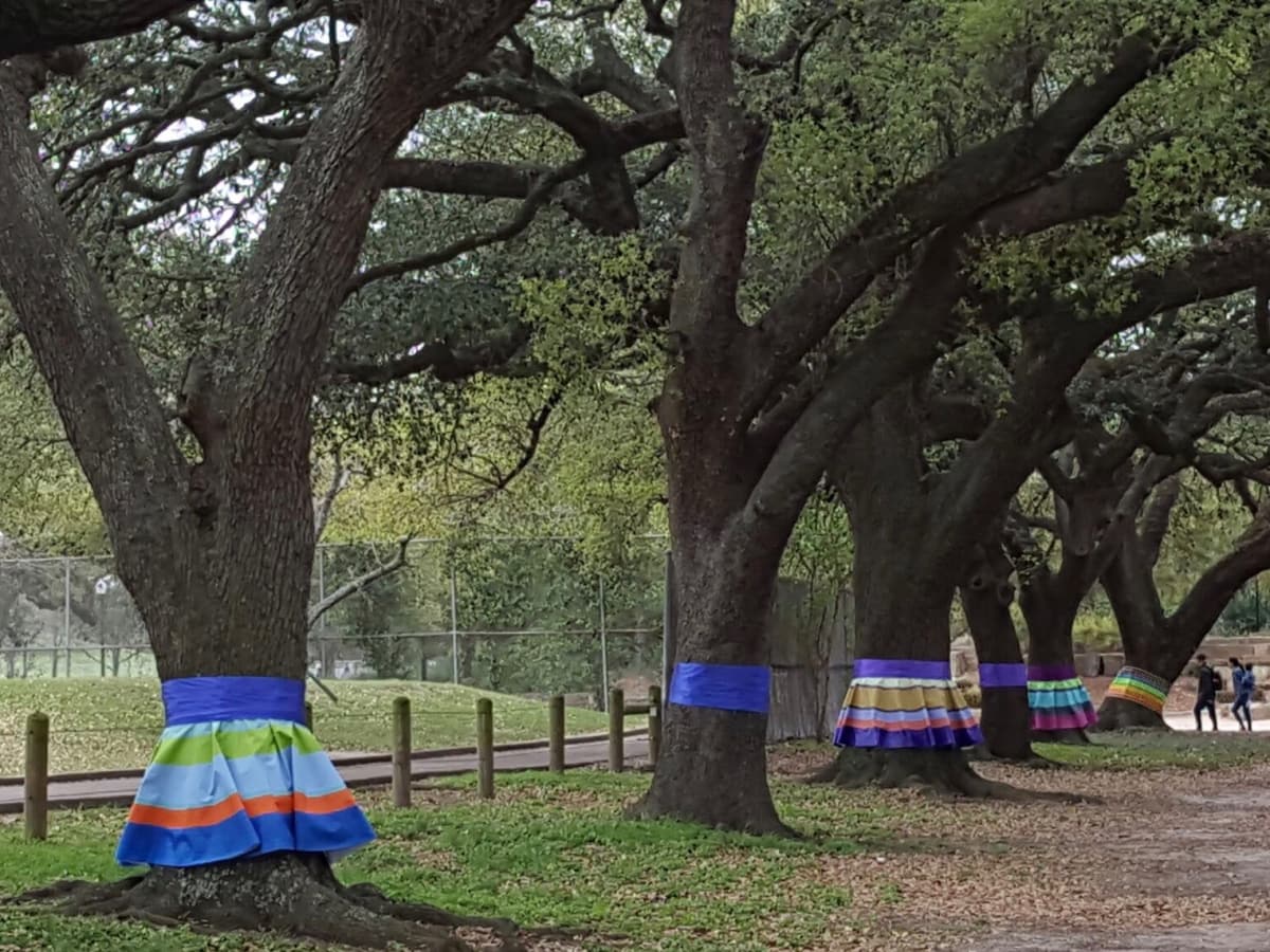 Color Bursting Hermann Park