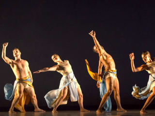 METdance presents United in Dance