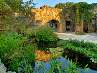 Lady Bird Johnson Wildflower Center