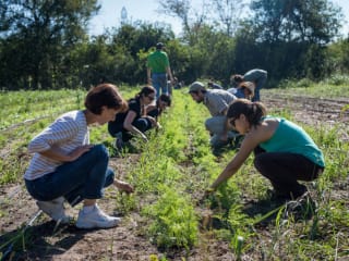 Farmshare Austin presents Love is in the Share Farmraiser