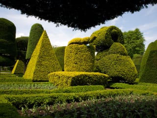 Dallas Center for Photography presents Sam Abell: Seeing Gardens