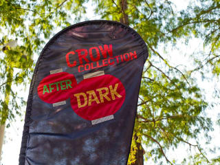 Crow Collection After Dark