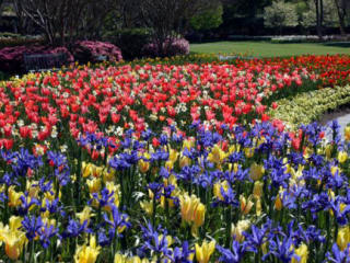 Dallas Arboretum and Botanical Garden