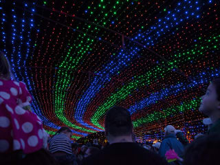 Austin Photo Set: Pages_trail of lights_dec 2012_13