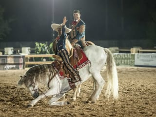 Haras Cup
