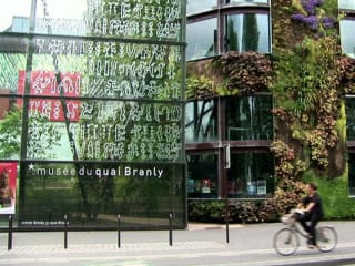 scene from the movie Biophilic Design: An Architecture of Life