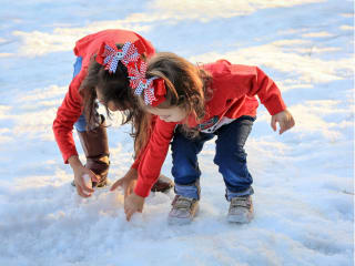 Holiday Wonderland