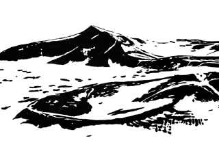 Reinhard Ziegler: Essential Landscape