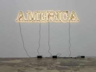 McNay Art Museum presents "30 Americans: Rubell Family Collection"