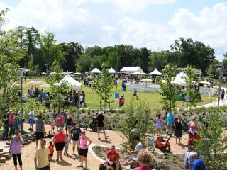 Evelyn's Park