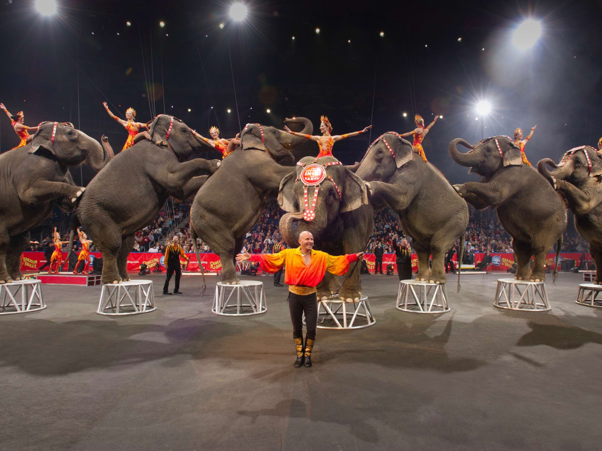Ringling Bros circus is gone for good and Ken Hoffman is celebrating