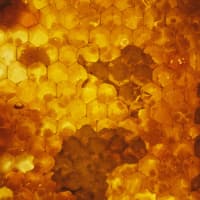 Texas Keeper Cider presents Honey Festival 2016