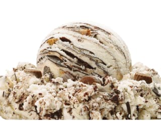 Denali Flavors Moose Tracks Ice Cream