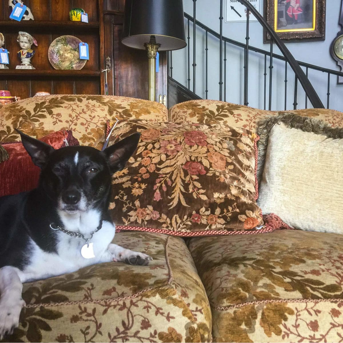 5 Best Dallas Re S For Furniture Finds And Decor Treasures Consignment Heaven