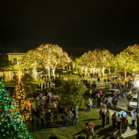 Georgetown's Annual Lighting of the Square