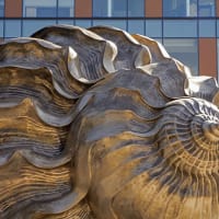Dell Medical School Landmarks art sculpture