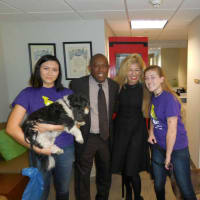 BARK for BARC Pet Walk
