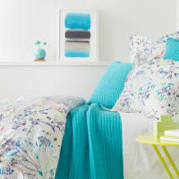 Back Row Home's Bedding & Rug Event
